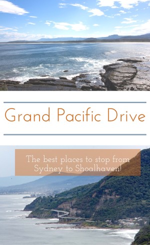 download pacific drive pc