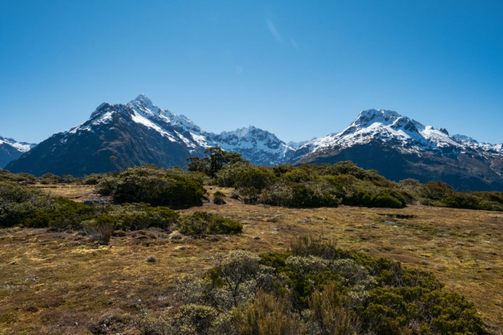 3 Beautiful Hikes in Milford Sound - Living EZ